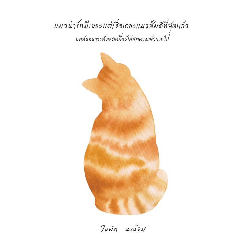 B2S หนังสือ แมวน่ารักมีเยอะ แต่เชื่อเถอะ แมวส้มดีที่สุดแล้ว