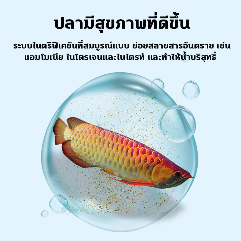 จุลินทรีย์บ่อปลา ตู้ปลา สลายขี้ปลา บำบัดน้ำเสีย ปรับคุณภาพน้ำ thumbnail 7