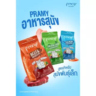 Pramy พรามี่ อาหารเม็ดสุนัข ทำจากเนื้อสัตว์แท้ ไม่มีผลพลอยได้จากสัตว์ปีก ดูแลครบ ขนาด 8-10 kg