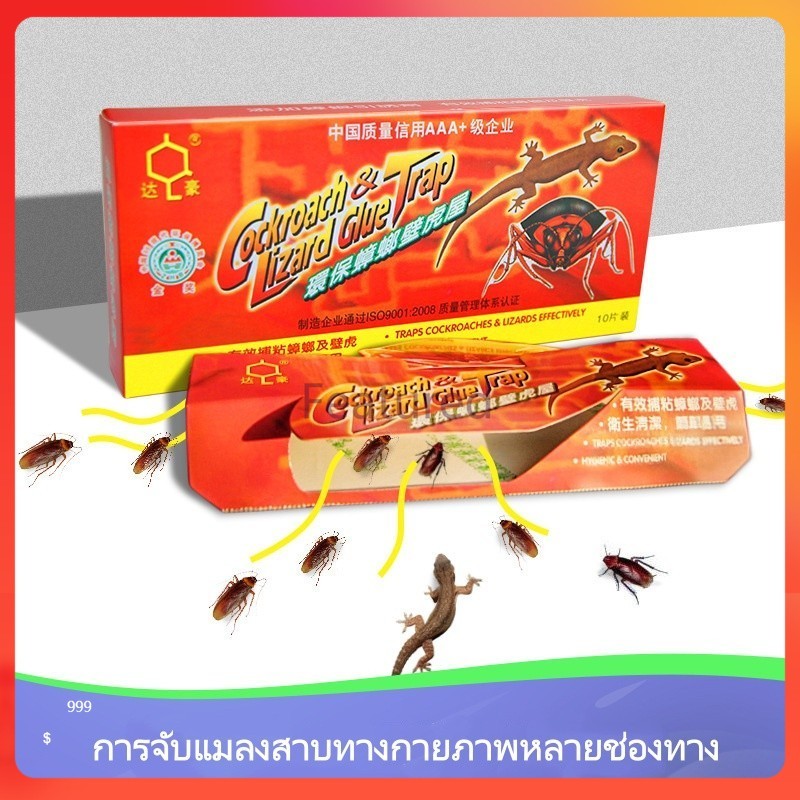Featured บ้านแมลงสาบ ดักจิ้งจก ดักแมลงสาบ กาวดักแมลงสาบ ที่ดักแมลงสาบ กับดักแมลงสาบ