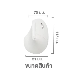 ANITECH W230 WIRELESS MOUSE ERGONOMIC DESIGN เม้าส์ไร้สาย เมาส์เพื่อสุขภาพ เชื่อมต่อ 2.4G และ BT5.0