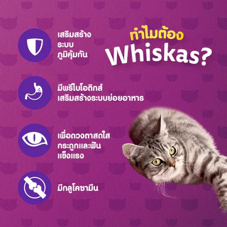 [จัดส่งจากคลัง] WHISKAS วิสกัส อาหารเม็ด สำหรับแมวสูงวัย รสปลาทู 1.1 kg [8853301000031]
