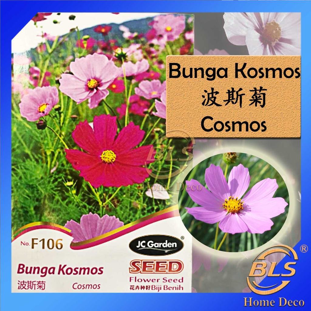 [MY SG] F106 COSMOS FLOWER JC GARDEN SEED KOSMOS FLOWER SEEDS