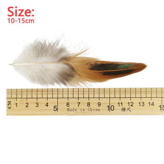 ขนนกหลากหลายสี ขนาด 10-15 cm จำนวน 50 อัน สไตล์ธรรมชาติ เหมาะสำหรับงานฝีมือและการตกแต่งร้าน