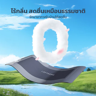 LOFTHOME พรมเช็ดเท้า กันลื่น ซับน้ำได้ดี แบบแห้งเร็ว ขนาด 40x60cm ลดปัญหาน้ำเปียกเลอะ