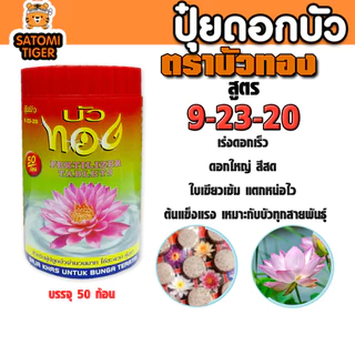 ปุ๋ยบัวเร่งดอก บัวทอง / ช่องาม เพิ่มดอกใหญ่ สีสดจัด ใบหนา แตกหน่อดี ต้นแข็งแรง เหมาะกับบัวหลวง บัวสาย บัวกระด้ง