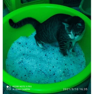Catty Cat ทรายแมวคริสตัล ดูดซึมทันที กำจัดกลิ่นได้ดี ขนาด 5 ลิตร **