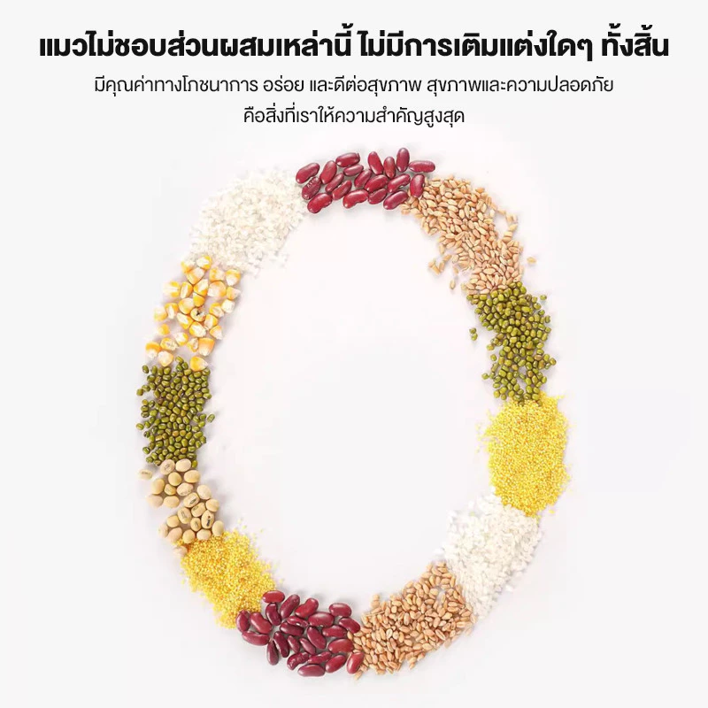 อาหารเปียกแมว สูตรปลาแซลมอน 85 กรัม thumbnail 7