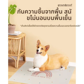 สัตว์เลี้ยงทุ่มเทเสื่อพีวีซีกันลื่นเสื่อทนสิ่งสกปรกกันน้ําป้องกันปัสสาวะเช็ดง่าย