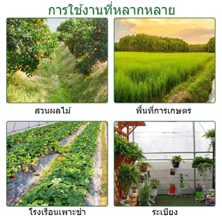 TH ไล่นก 10000เมตรไม่มีนก ก้อนไล่นกพิราบ ก้อนไล่นกพิราป 12เม็ด/กล่อง กลิ่นขับไล่นก กันนกออกไปได้อย่างง่ายดาย ผลที่ยา