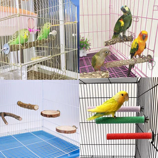 💥ราคาถูกสุดๆ🚀ส่งด่วนจากไทย คอนลับเล็บ คอนนกแก้ว คอนกระรอก ชูก้า คอนนกใหญ่ คอนสำหรับนกแก้ว คอนนกแก้ว ไม้ธรรมชาติ100%