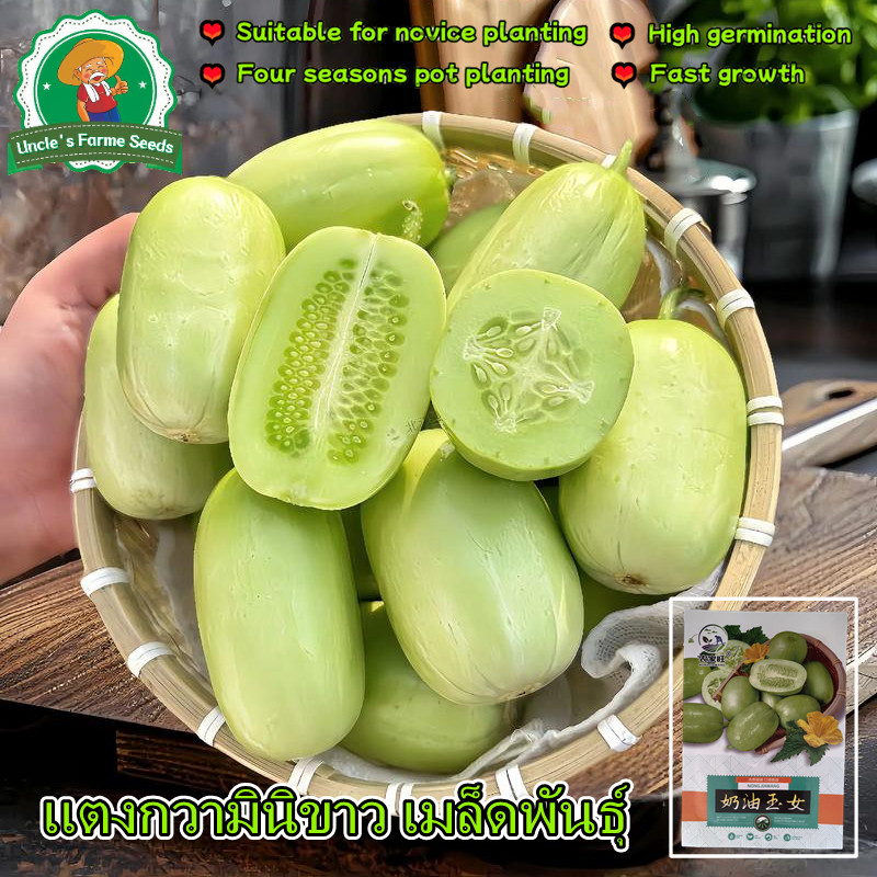 เมล็ดพันธุ์แตงกวาไขไก่ เมล็ดแตงกวามินิ 10เมล็ด แตงกวาจิ๋ว High Yield Jade Girl Mini Cucumber Seeds Vegetable Seeds - รูปที่ 5