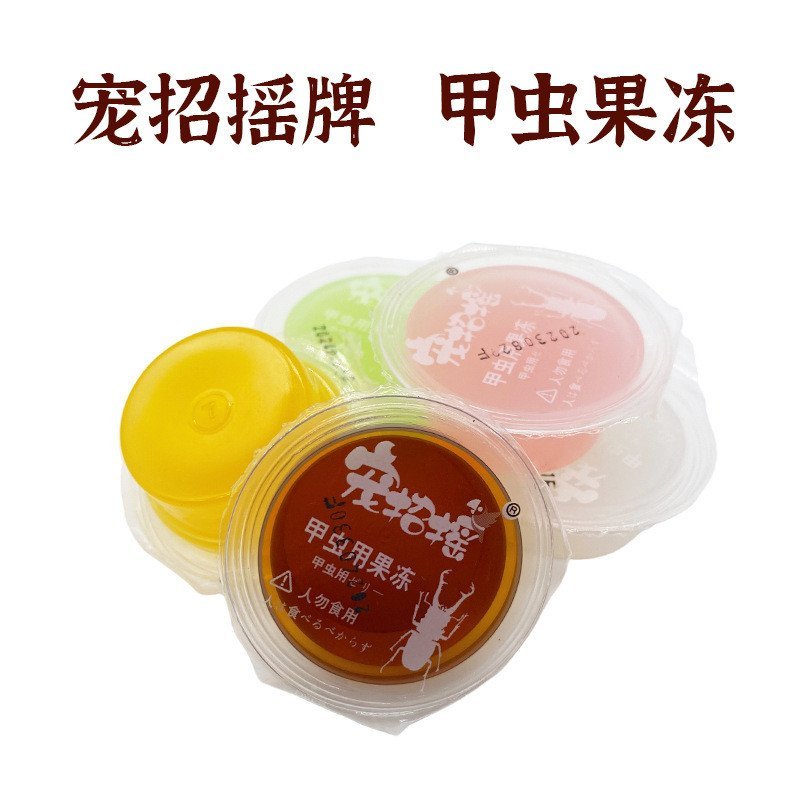 Beetle Jelly Unicorn Jelly อาหารแมลง Bulldog โปรตีนชายหนุ่ม Big Flat Ant Stag Beetle Jelly