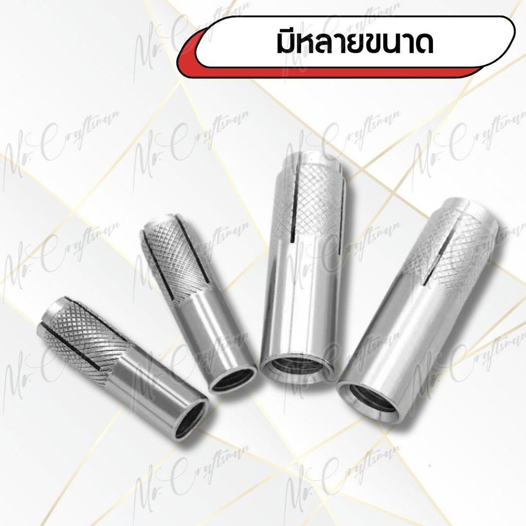 พุกดรอปอิน  พุกตอกเกลียวใน, Drop In Anchor สแตนเลส 304 | M6 M8 M10 M12 | ราคา ถูกที่สุด ดีลบีเคเค แกลเลอรีภาพที่ 5