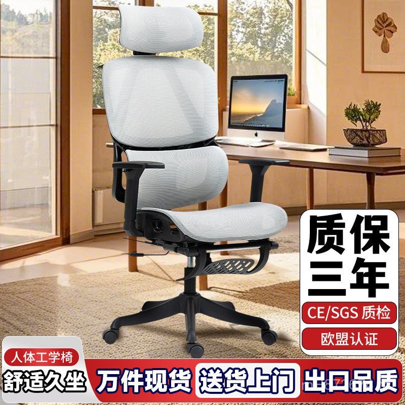 Sedentary Lunch Break Tai Chang สบายไม่เหนื่อยเก้าอี้คอมพิวเตอร์ตามหลักสรีรศาสตร์ตาข่ายระบายอากาศที่