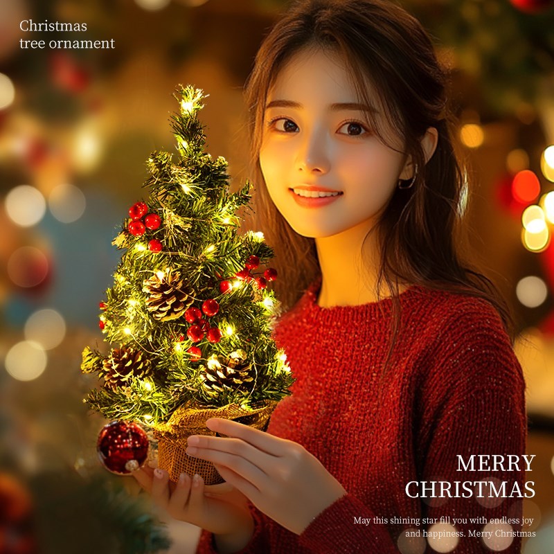 Christmas Tree ต้นคริสต์มาสมินิ DIY สูง 60/15cm ชุดพร้อมสายไฟ 2m 20 ดวง ของขวัญน่ามอบ