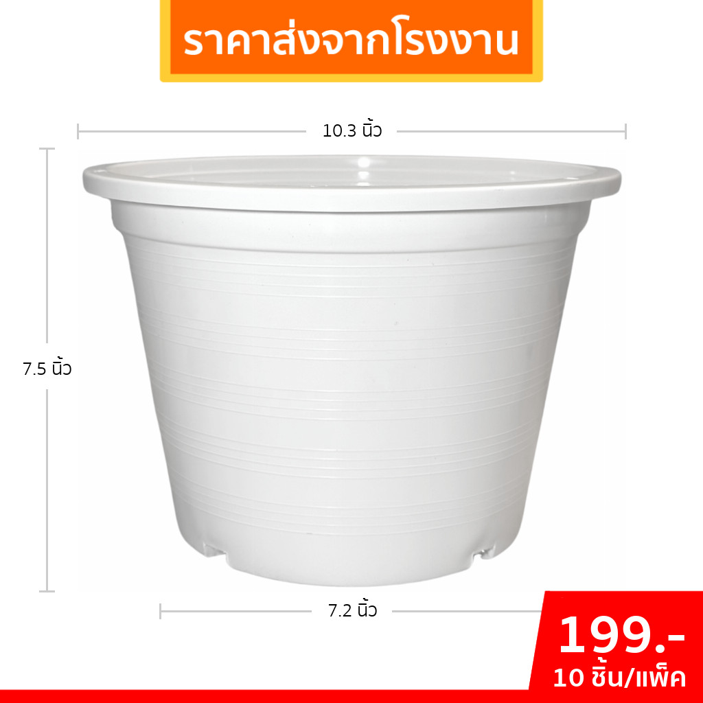 กระถาง กระถางต้นไม้ กระถางขาว เบอร์ 10 นิ้ว สีขาว 10 ใบ ชิ้น ยกมัด