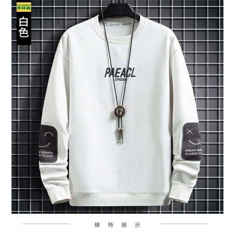 DNS/PAEACL SWETER (ML)