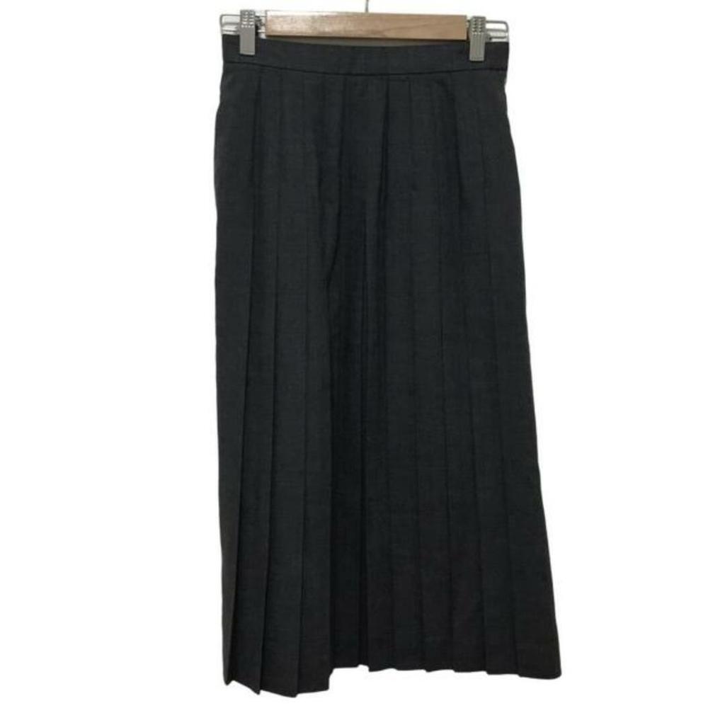 Jun Ashida Ash Skirt gray dark Women Direct from Japan Secondhand