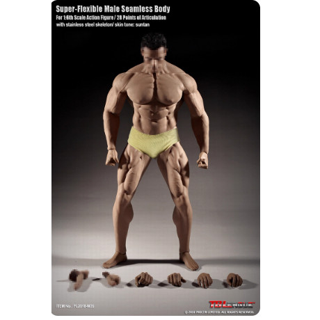 TBLeague PHICEN M35 1/6 Arnold Steel Bone Strong Muscle ประเภท Overmolded ชาย