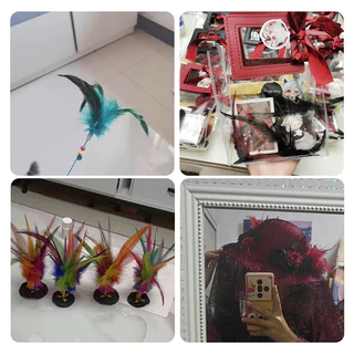ขนนกหลากหลายสี ขนาด 10-15 cm จำนวน 50 อัน สไตล์ธรรมชาติ เหมาะสำหรับงานฝีมือและการตกแต่งร้าน