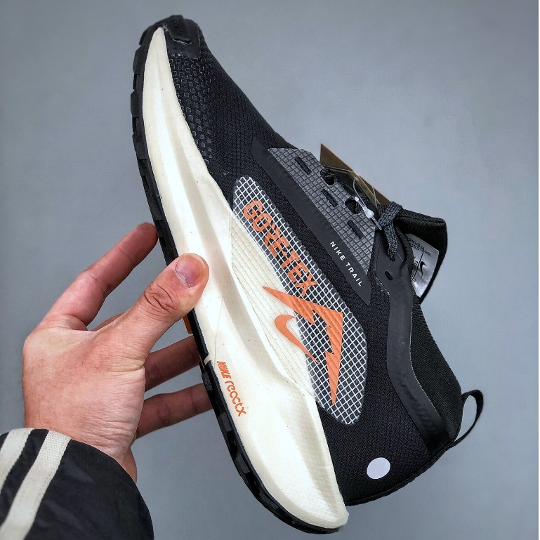 รองเท้าวิ่ง REACTX PEGASUS TRAIL 5 GTX FQ0908-007