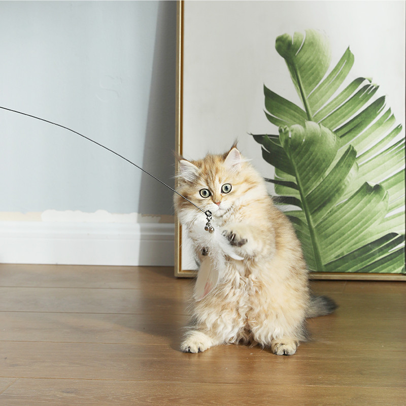 รูปภาพ 3