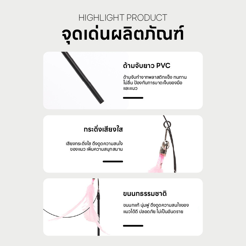 รูปภาพ 7