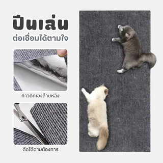 Pet Store พรมลับเล็บแมว ที่ฝนเล็บ แบบติดผนัง พร้อมกาว กันรอยข่วนได้ดี มีทั้งหมด 4 ขนาด DIY ได้นะคะ