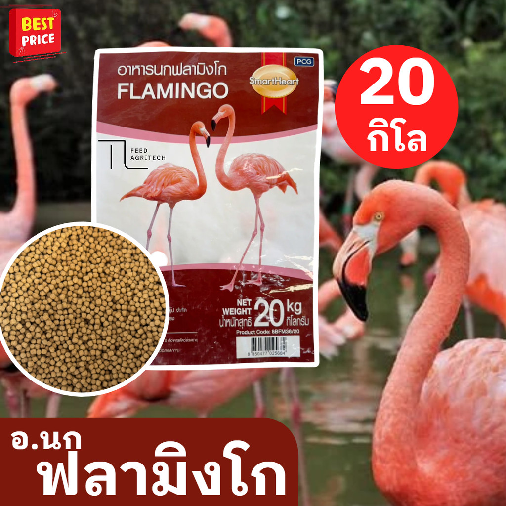 อาหารนก Smart Heart Flamingo ฟลามิงโก้ ยกกระสอบ 20 kg.