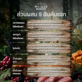 WILDOLOGY ไวลด์โอโลจี อาหารแมวแบบเม็ดเกรด Holistic Grain Free มีให้เลือกทุกช่วงวัย ขนาด 1 kg