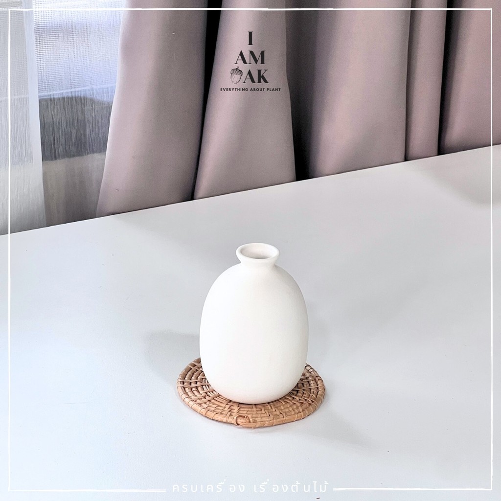 มุมมอง 8