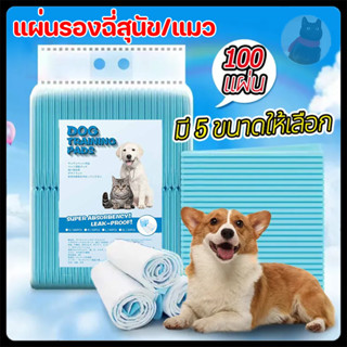 พร้อมส่ง!!แผ่นรองฉี่สุนัข ซึมซับไดีดี ต่อต้านแบคทีเรีย แผ่นร…