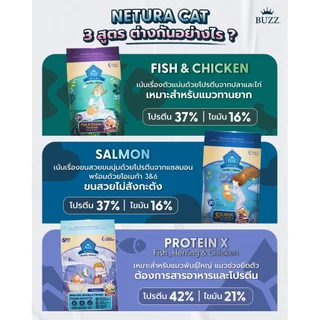 ฺ๊Buzz Netura (1kg) อาหารเม็ดแมวเกรดโฮลิสติก-เกรนฟรี วัตถุดิบคุณภาพ ปราศจากธัญพืช