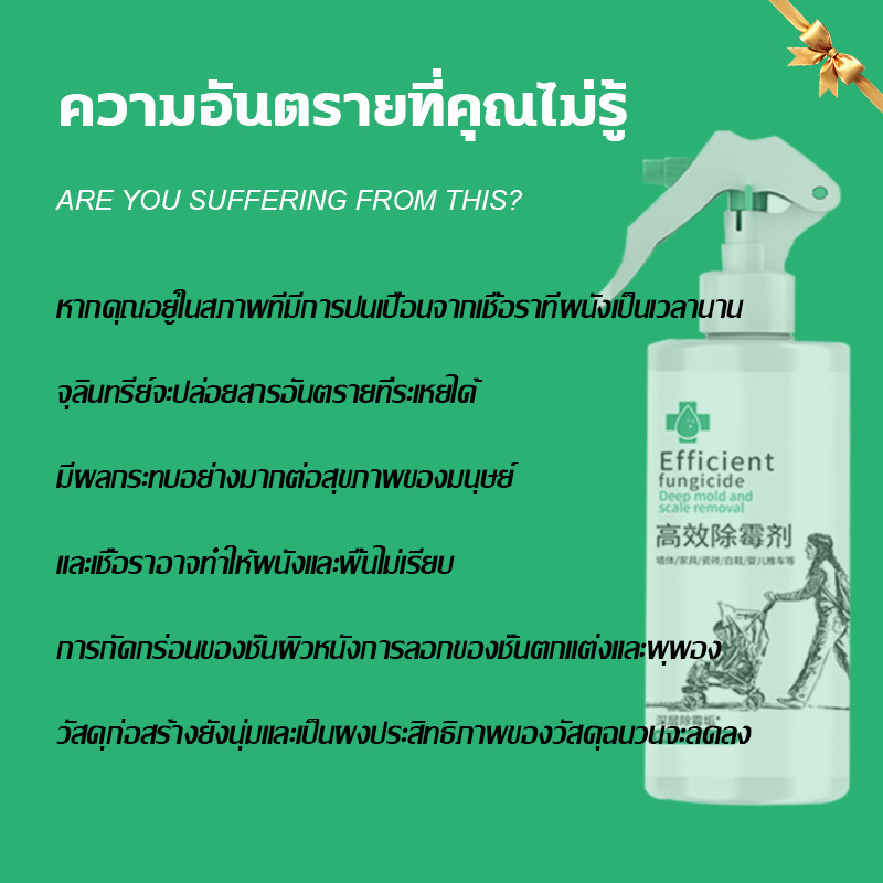 ✨100ปีไม่ขึ้นรา✨ สเปรย์กำจัดเชื้อรา นำเข้าจากญี่ปุ่น 500ml ฆ่าเชื้อรา กำจัดเชื้อรา ไม่เกิดซ้ำ 100% น้ำยากำจัดเชื้อรา - รูปที่ 4
