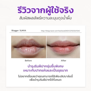 FRUDIA Blueberry Honey Lip Balm ลิปบาล์มปากฉ่ำ ชุ่มชื้น ลดปากแห้งแตก