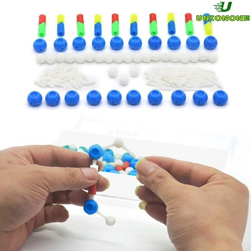 ONE DNA Double Helix Model Biological Science Teaching Aids สําหรับ DNA Assembling