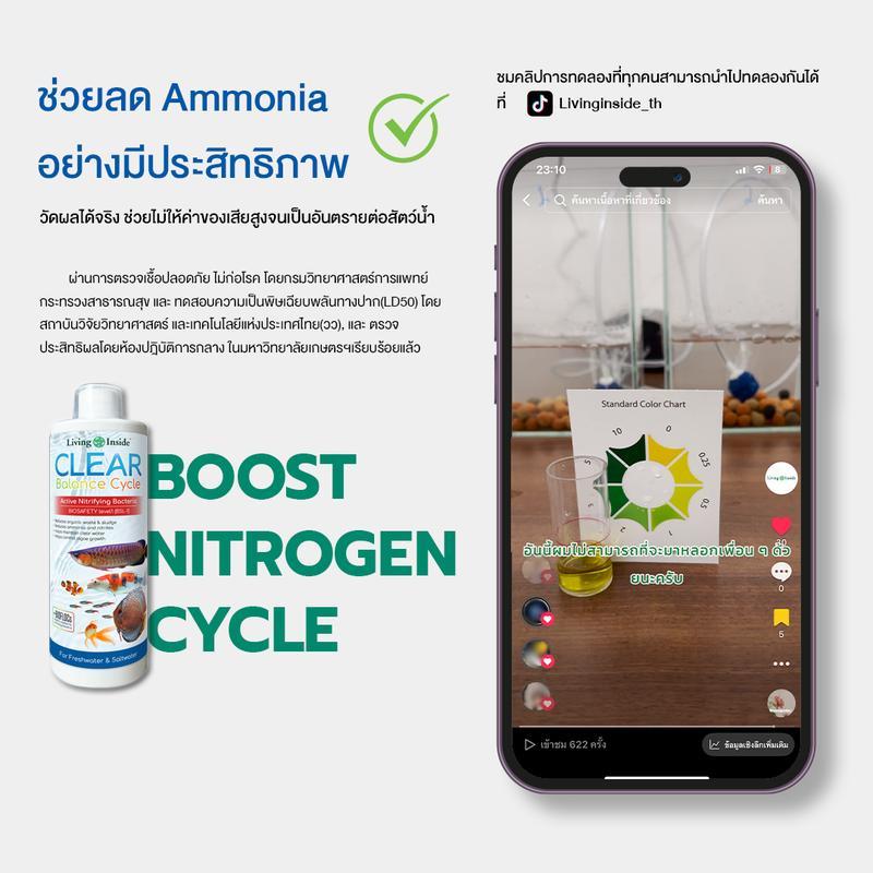 จุลินทรีย์แบคทีเรียสำหรับบ่อปลาและตู้ปลา Living Inside