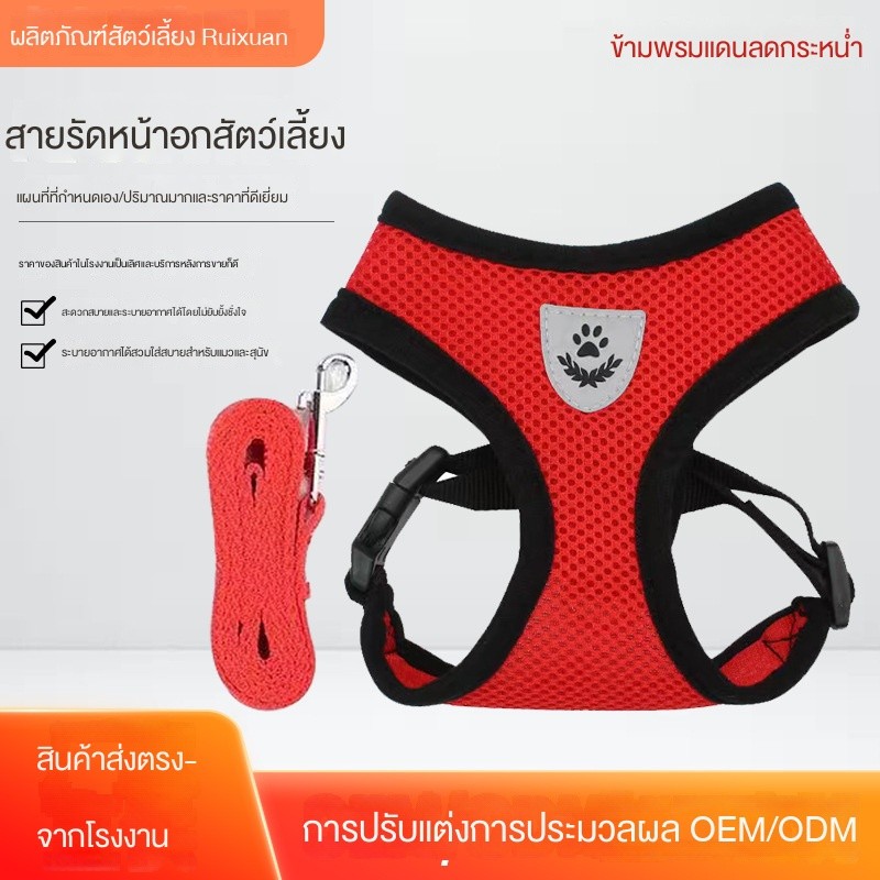 ชุดสายรัดอกสุนัขพร้อมสายจูง สายรัดสุนัข/แมว ตาข่ายระบายอากาศ 🐶🐱 แบบแซนด์วิช 🌟 ใช้ได้ทุกฤดู พร้อมสายจูง 🐕