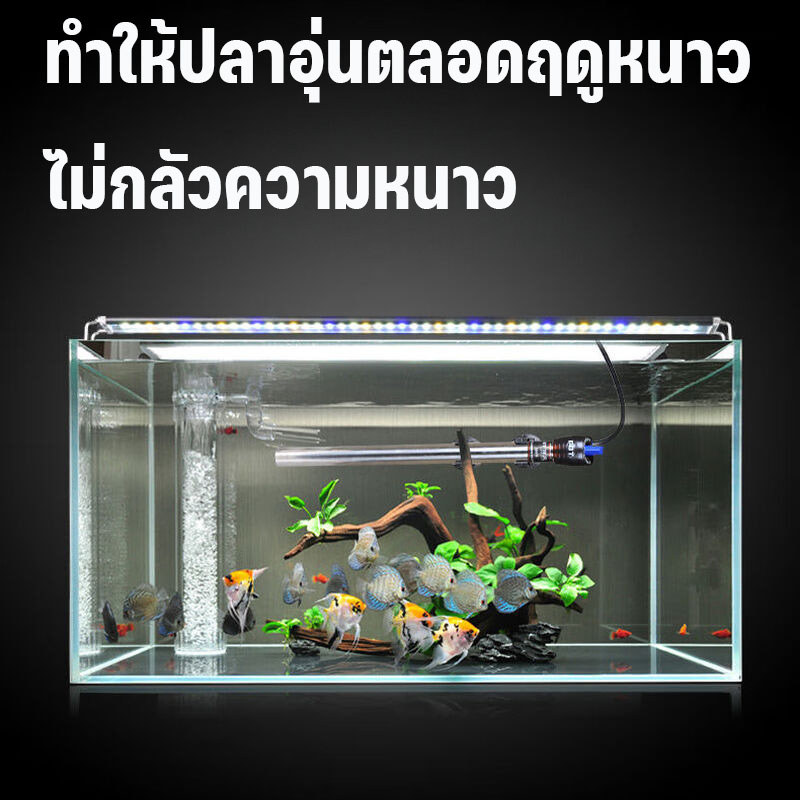 เครื่องทำความร้อนตู้ปลา ตัวควบคุมอุณหภูมิ ฉนวนปลา 25-500W 12 องศา – 34 องศา สแตนเลส คุณภาพสูง กันน้ำได้ดีมาก ร้อนเร็ว ราคา ถูกที่สุด ดีลบีเคเค แกลเลอรีภาพที่ 6