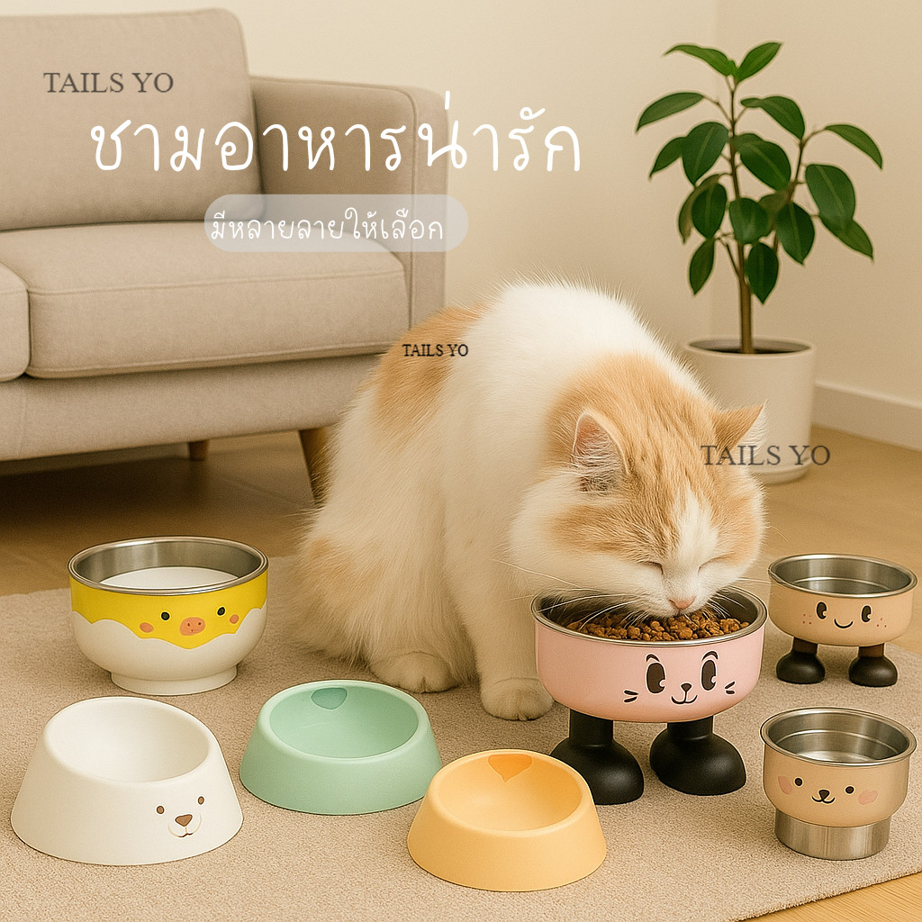 รวมถ้วยอาหารแมว  ชามข้าว น่ารัก สีสันสดใส ชามอาหารสัตว์เลี้ยง  ถ้วยอาหารสุนัข พร้อมส่งจากไทย ++