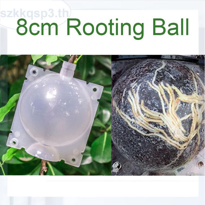 8 ซม. Rooter Grow กล่องต้นไม้ผลไม้ Plant Rooting Ball Root Growing กรณี THK3