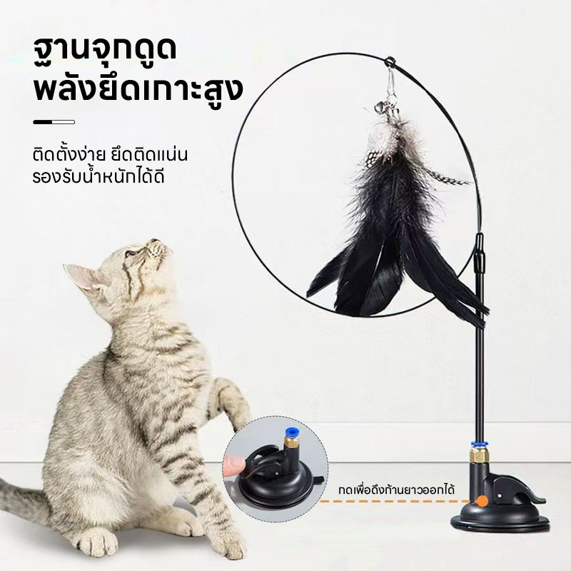 รูปภาพ 2