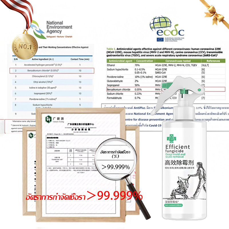 ✨100ปีไม่ขึ้นรา✨ สเปรย์กำจัดเชื้อรา นำเข้าจากญี่ปุ่น 500ml ฆ่าเชื้อรา กำจัดเชื้อรา ไม่เกิดซ้ำ 100% น้ำยากำจัดเชื้อรา - รูปที่ 7