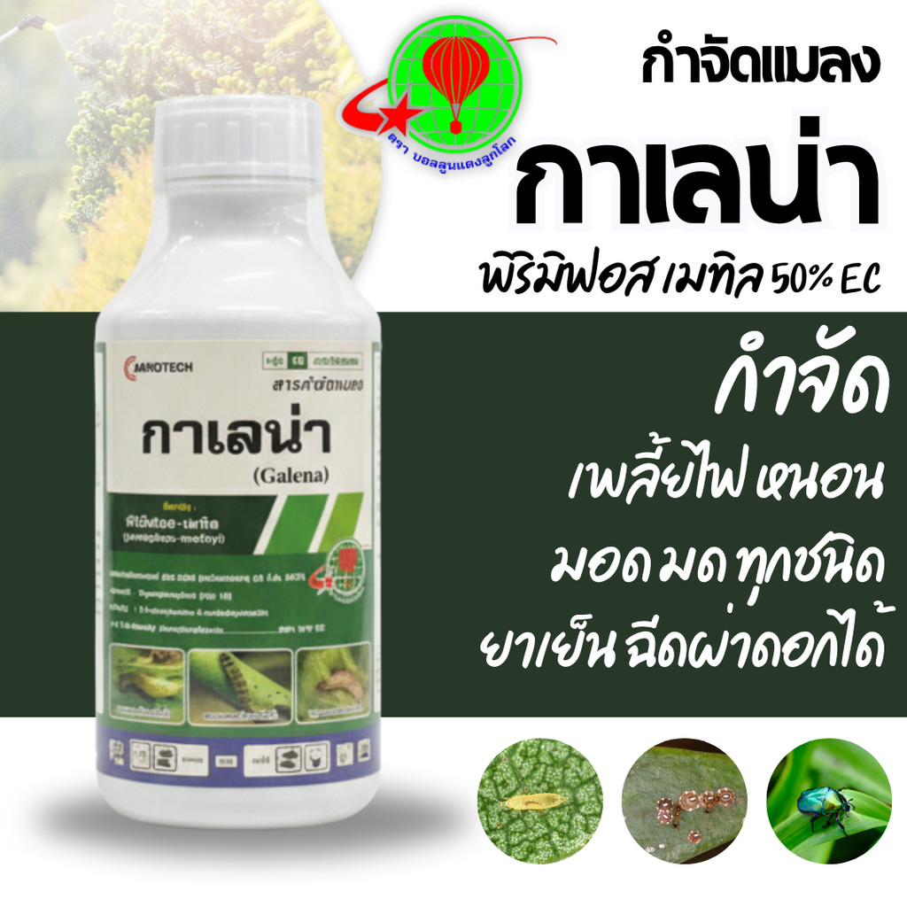 [บอลลูน] พิริมิฟอส-เมทิล 50% กำจัดเพลี้ยแป้ง เพลี้ยอ่อน เพลี้ยหอย เพลี้ยไก่แจ้ อย่างได้ผลดี คุมได้นาน ใช้ได้ผลดี
