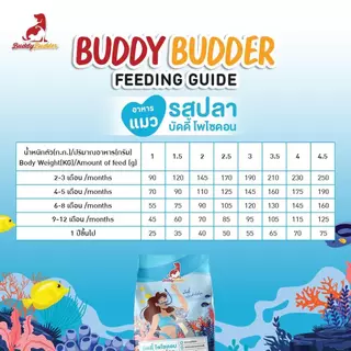 Buddy Budder อาหารแมว เกรดพรีเมี่ยม สำหรับแมวทานยาก ไม่เค็ม โซเดียมต่ำ ขนาด 1.2 kg
