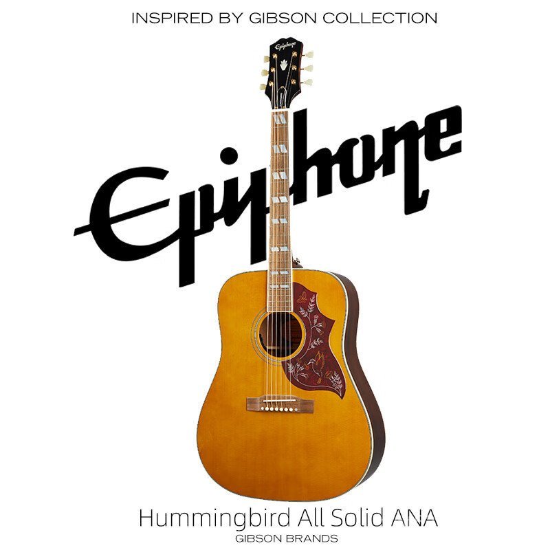 Epiphone Acoustic Acoustic Guitar Masterbilt All Order Masterbilt Hummingbird ANA Retro Log Color El