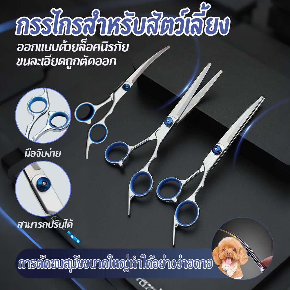 สแตนเลสสัตว์เลี้ยงกรูมมิ่งกรรไกรชุดกรรไกรโค้งคมกรรไกรสัตว์แมวสุนัขตัดผม