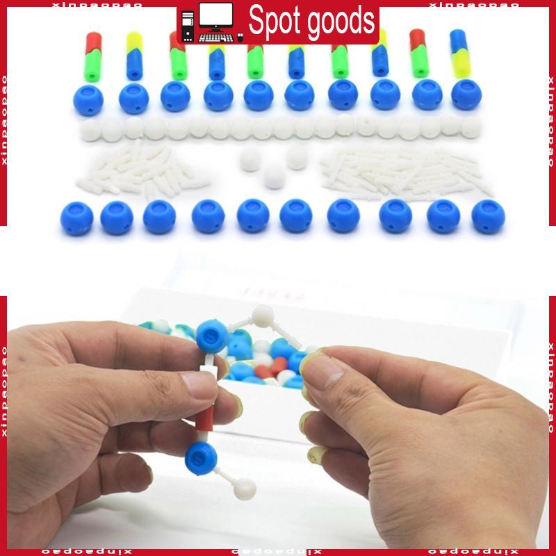 XI DNA Double Helix Model Biological Science Teaching Aids สําหรับ DNA Assembling