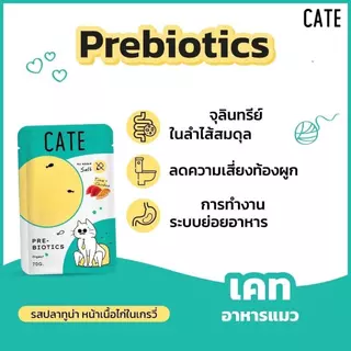 Cate Wet Food อาหารเปียกแมว 5 สูตร ไม่เติมเกลือ Vitamin E, A, B1, B2, B6, B12, D3, K3, Omega3,6 [ยกลัง 48 ซอง]